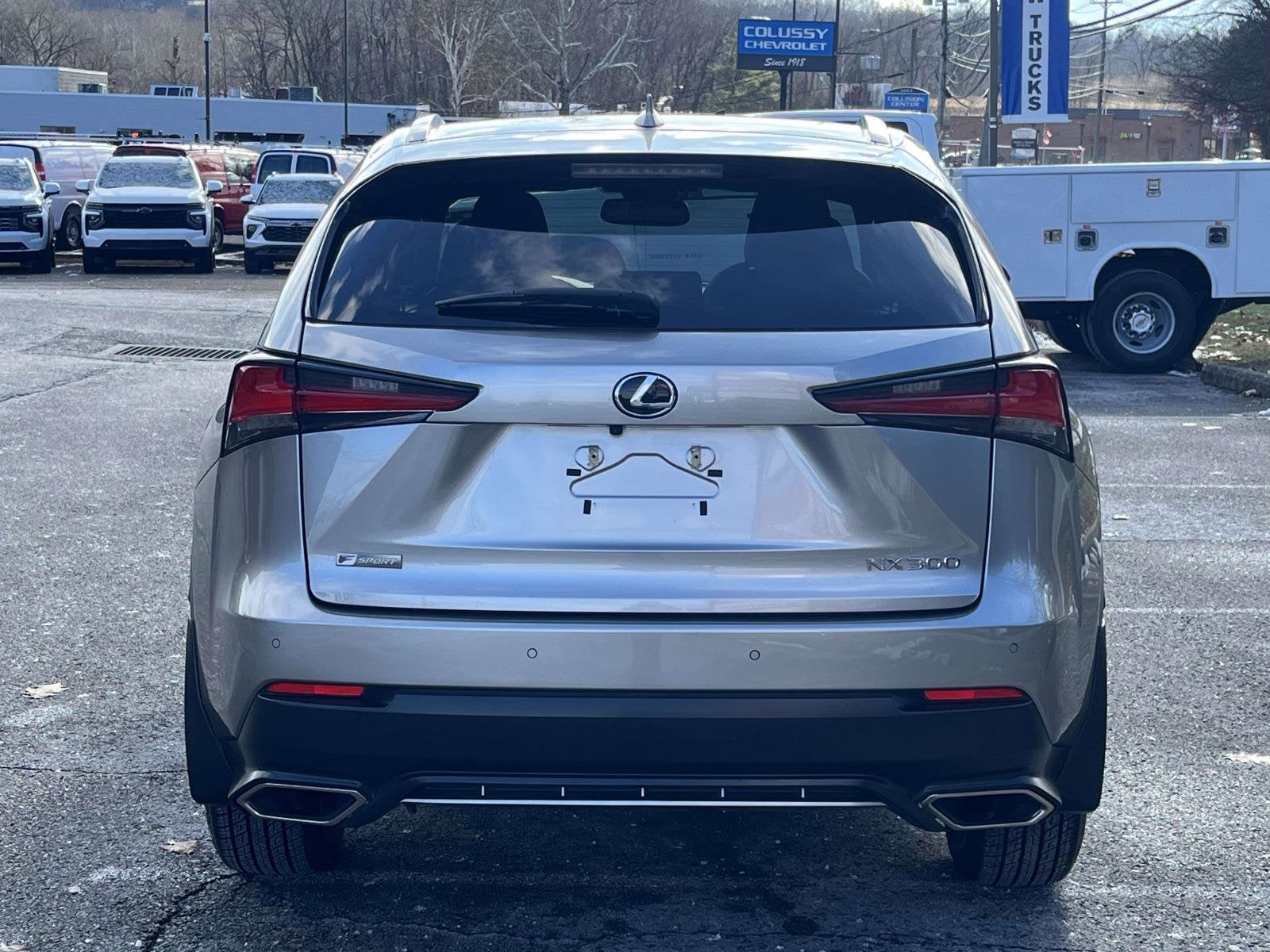 2021 Lexus NX NX 300 F SPORT